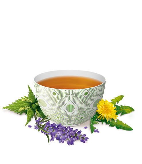 Te balance alkaline Infusion Yogi Tea | 17 sachets | Natural herbal,  non-chemical. D82