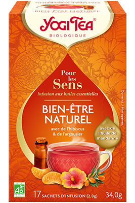 Yogi tea Detox - La-route-des-saveurs