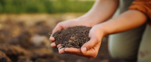 The Benefits of Compost